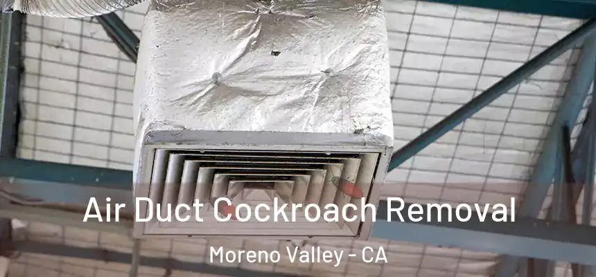 Air Duct Cockroach Removal Moreno Valley - CA