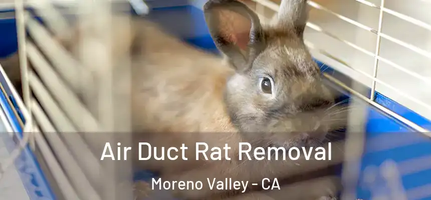 Air Duct Rat Removal Moreno Valley - CA