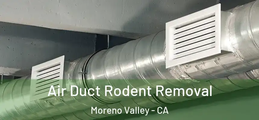 Air Duct Rodent Removal Moreno Valley - CA