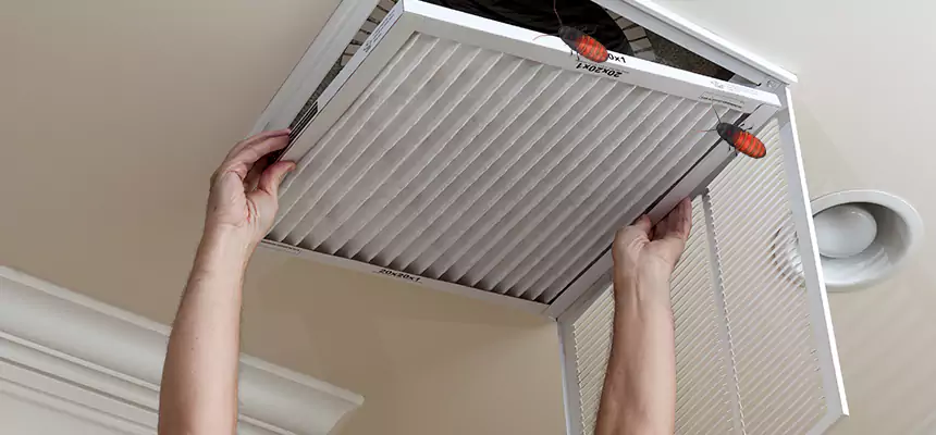 Preventive Cockroach-Proofing for Ducts in Moreno Valley