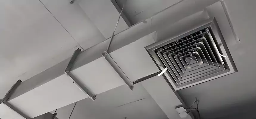 Our Rodent Droppings In Vents Services in Moreno Valley, CA