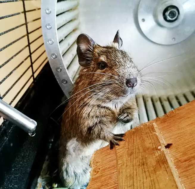 Why Homeowners & Businesses Trust Us Moreno Valley, CA?