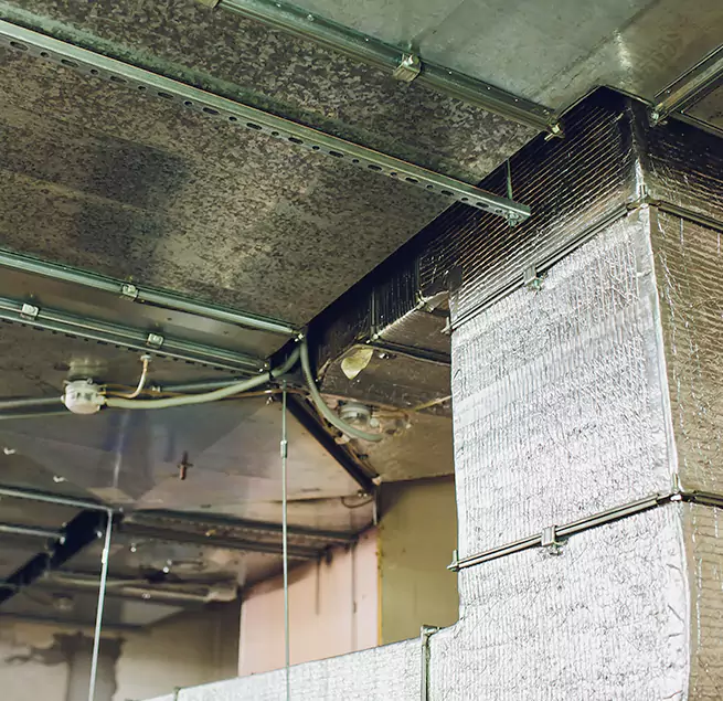 Why Homeowners & Businesses Trust Us in Moreno Valley, CA?